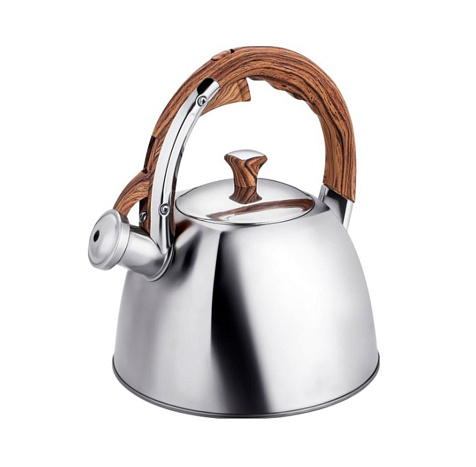 Чайник Regent Linea Tea 3л свисток, ручка Soft-Touch купить в СОМ