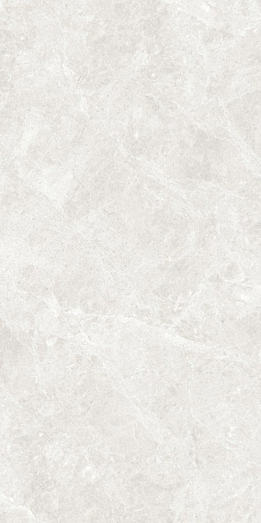 Керамогранит Global Tile Korinthos  Светло-серый  Slim полированный, 1200х600х8.5 мм, 2 шт. - 1.44 кв. м. GT120604606PR купить в СОМ