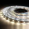 Лента светодиодная Camelion DSL-008 12V 15W 60LED/m IP20 3м 4000K 2835-60D 15694 купить в СОМ